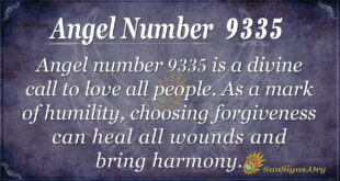 9335 angel number