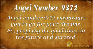 9372 angel number