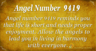 9419 angel number