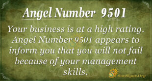 9501 angel number