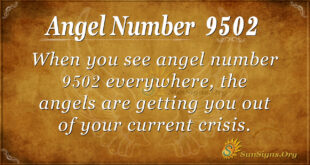 9502 angel number