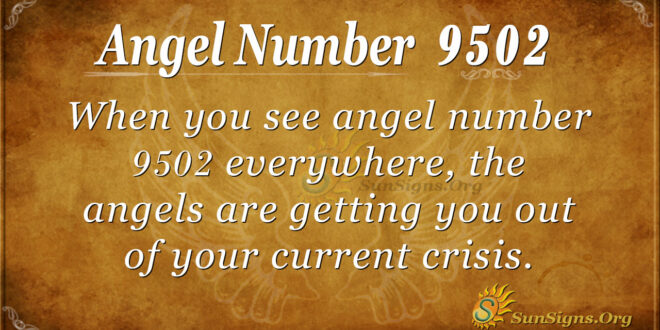 9502 angel number