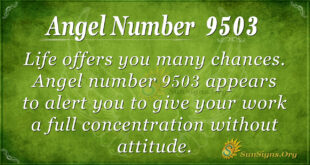 9503 angel number
