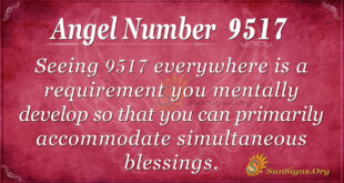 9517 angel number