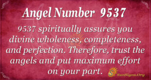 9537 angel number