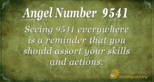 9541 angel number