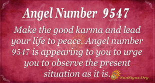 9547 angel number
