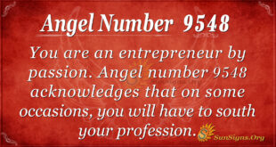 9548 angel number