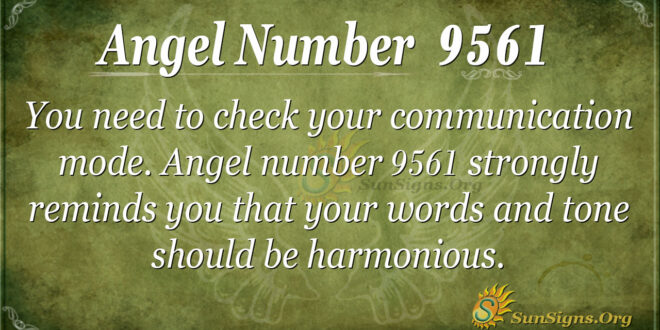 9561 angel number