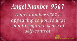 9567 angel number