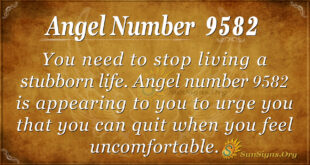 9582 angel number