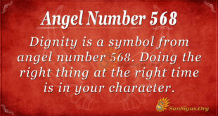 Angel Number 568
