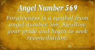 Angel Number 569