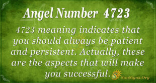 4723 angel number