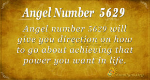 5629 angel number