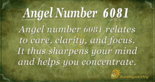 6081 angel number