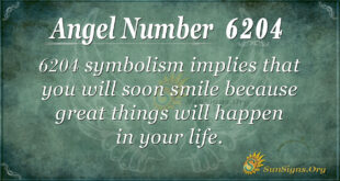6204 angel number