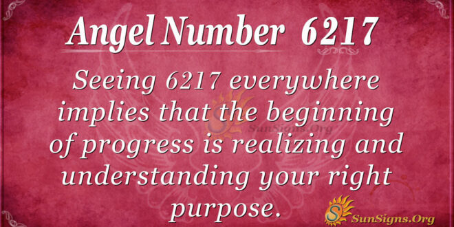 6217 angel number