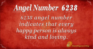 6238 angel number