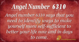 6310 angel number