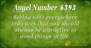 6393 angel number