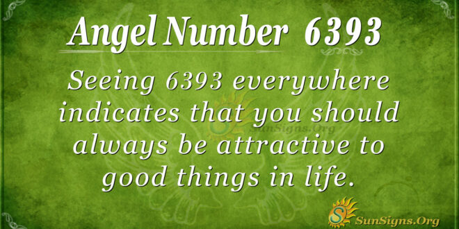 6393 angel number