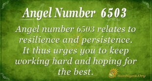 6503 angel number