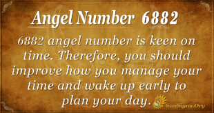 6882 angel number