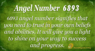 6893 angel number