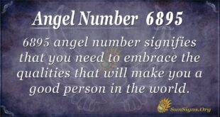 6895 angel number