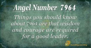 7964 angel number