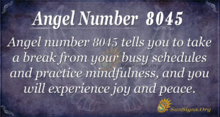8045 angel number