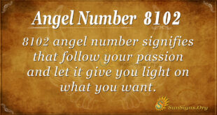 8102 angel number