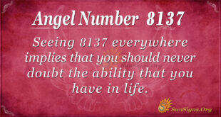 8137 angel number