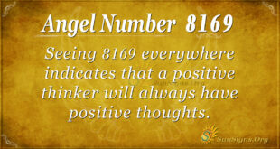 8169 angel number