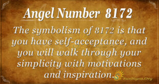 8172 angel number