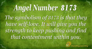 8173 angel number