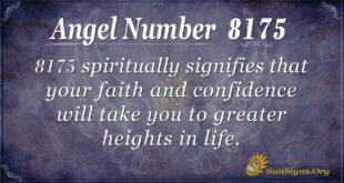 8175 angel number