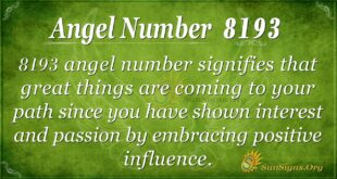 8193 angel number