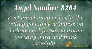 8204 angel number