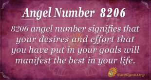 8206 angel number