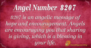 8207 angel number