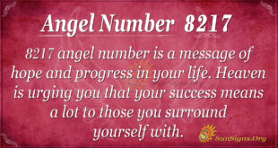 8217 angel number