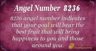 8236 angel number