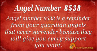 8538 angel number
