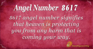 8617 angel number