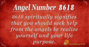 8618 angel number