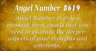 8619 angel number