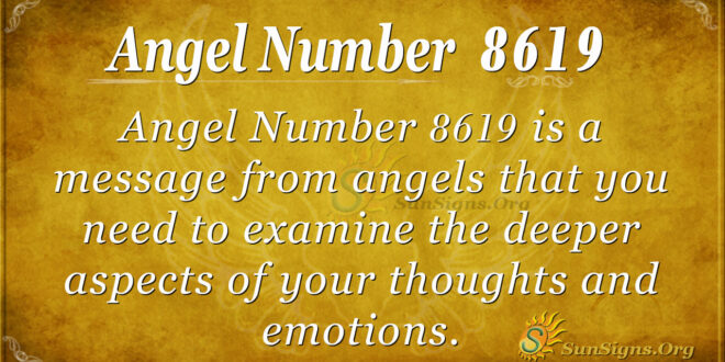 8619 angel number
