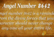 8642 angel number